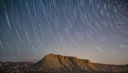 开云kaiyun-格林伍德：袋鼠队防守核心，展现出超强球场控制力，格林伍德打什么位置