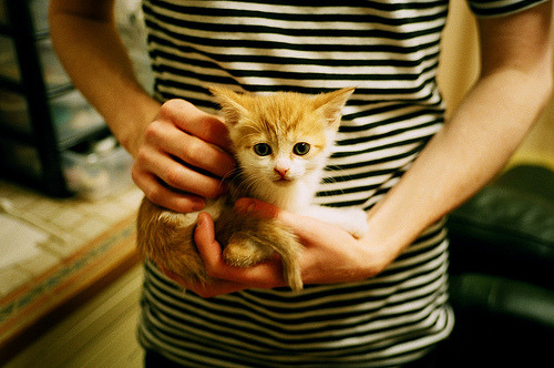 _体育旅游热启动：游览名胜地同时享运动乐趣_，体育旅游十佳精品景区