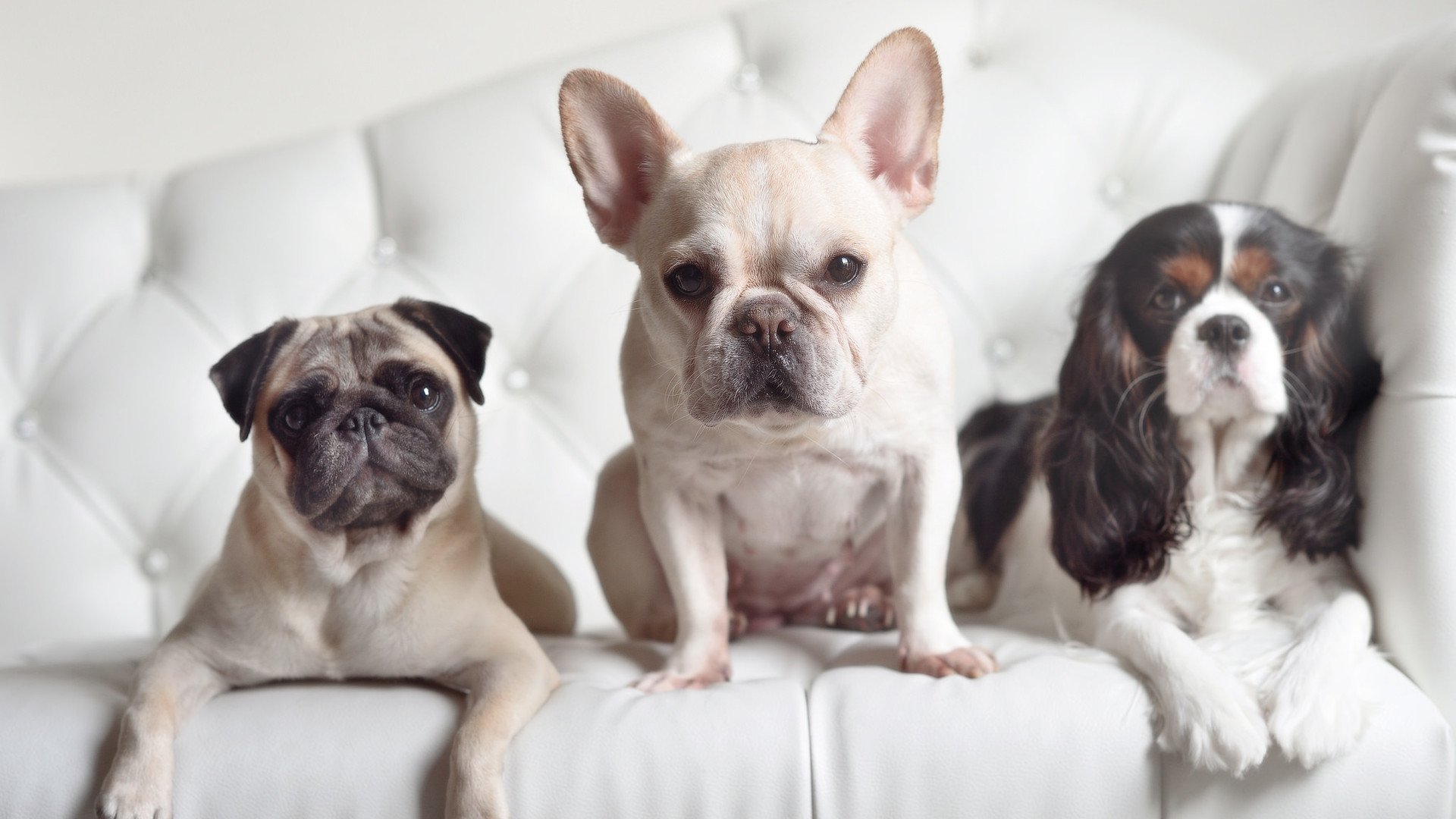 KAIYUN 中国大陆-“基层足球推广项目不断深入，青少年免费培训受欢迎”，开展青少年足球培训需要什么资质