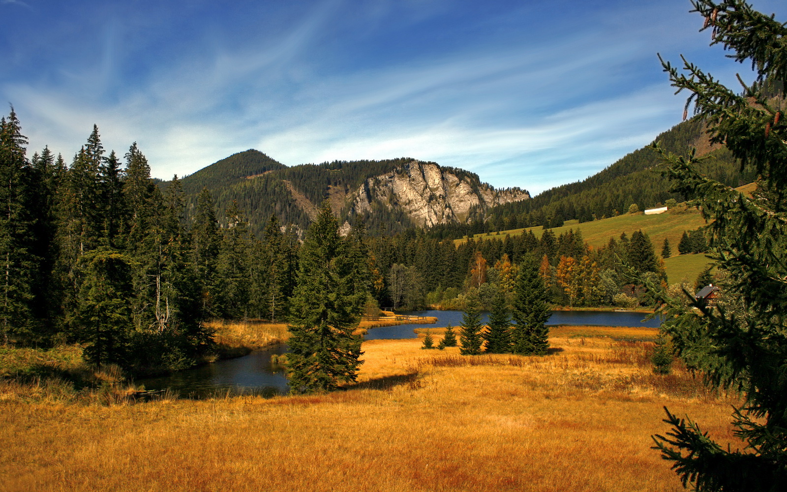失误要命！上海队整场失误达20次，败局提前揭晓！，上海队夺冠