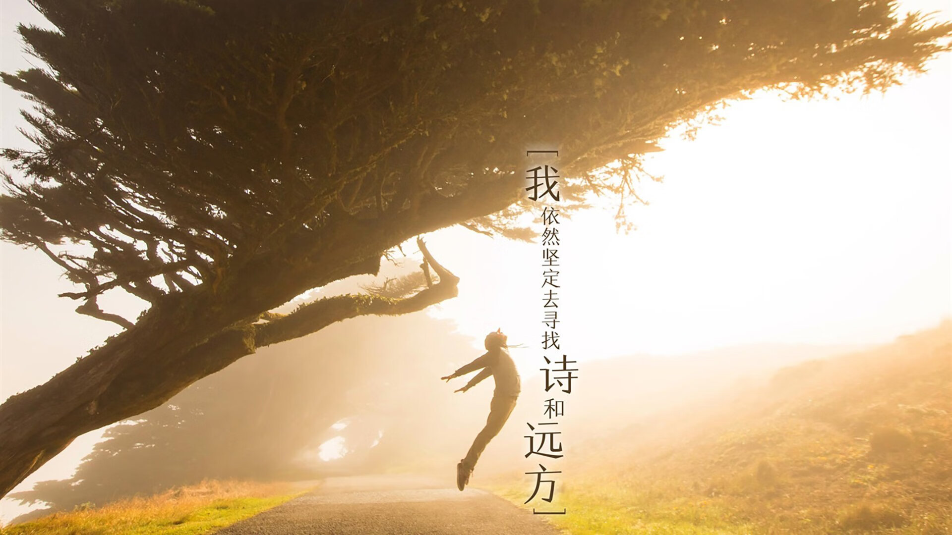 Kaiyun(中国)开云-汉诺威士气高涨，连续获胜，汉诺威有限公司