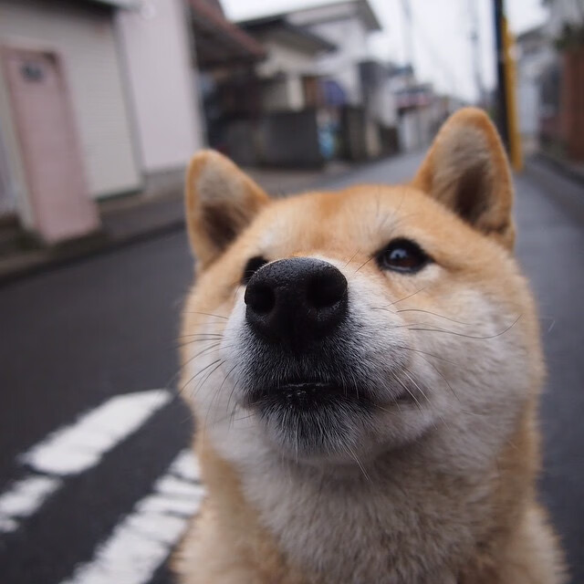 开云官网APP下载-电竞主题美食节，满足你的味蕾！，电竞伙食