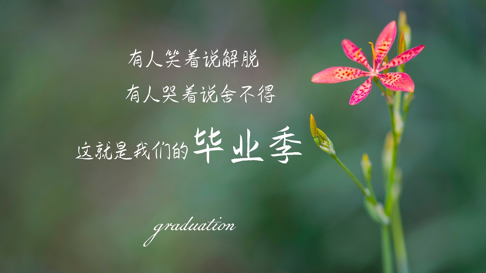 英超赛季中，最惊心动魄的逆转比赛回顾，英超大逆转