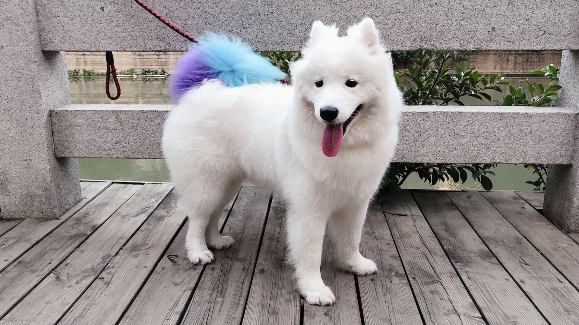 Kaiyun官方登录入口-KPL战队体能训练成果显著，kpl职业选手训练项目