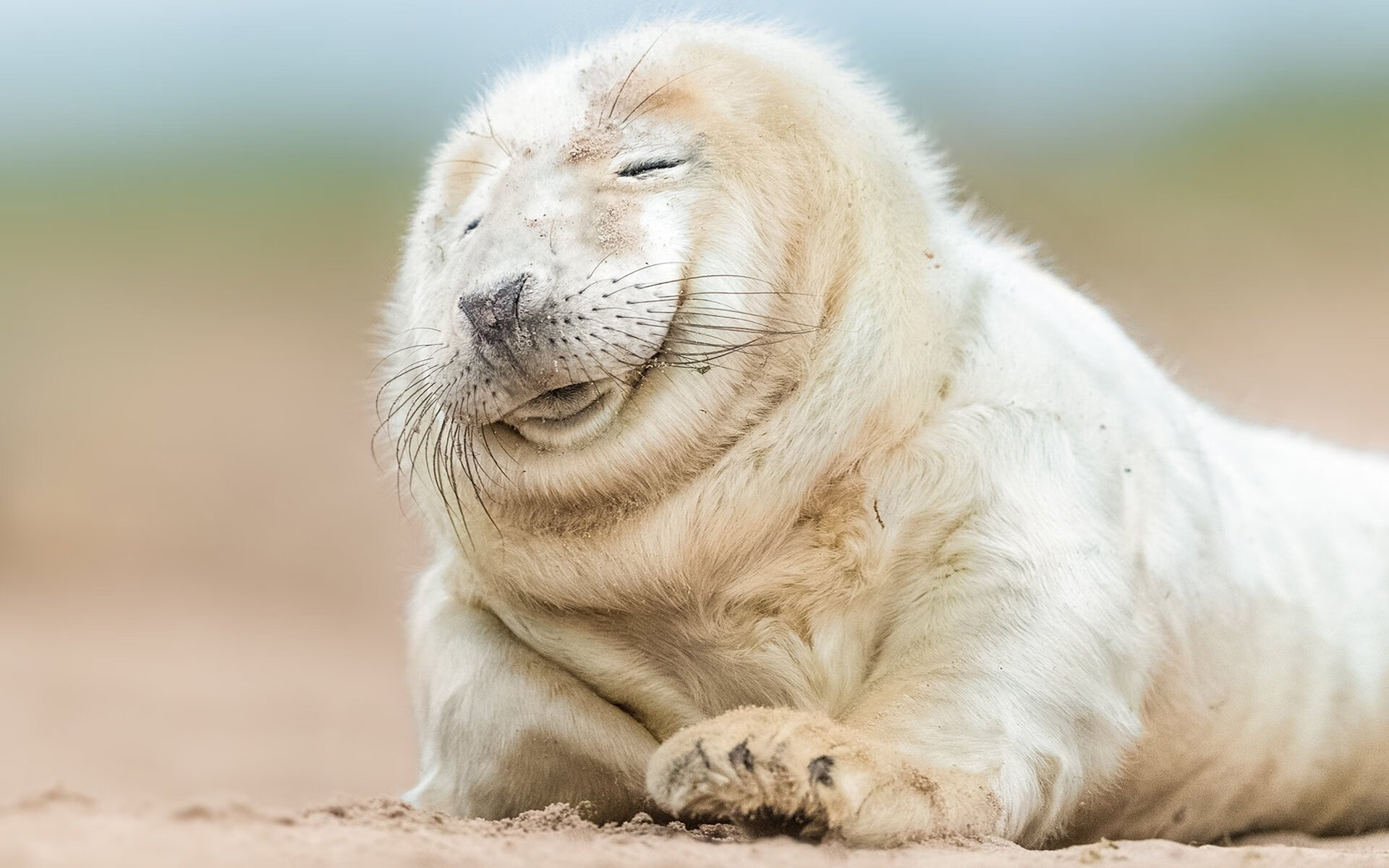 切尔西女足比赛数据统计分析，切尔西女足什么水平