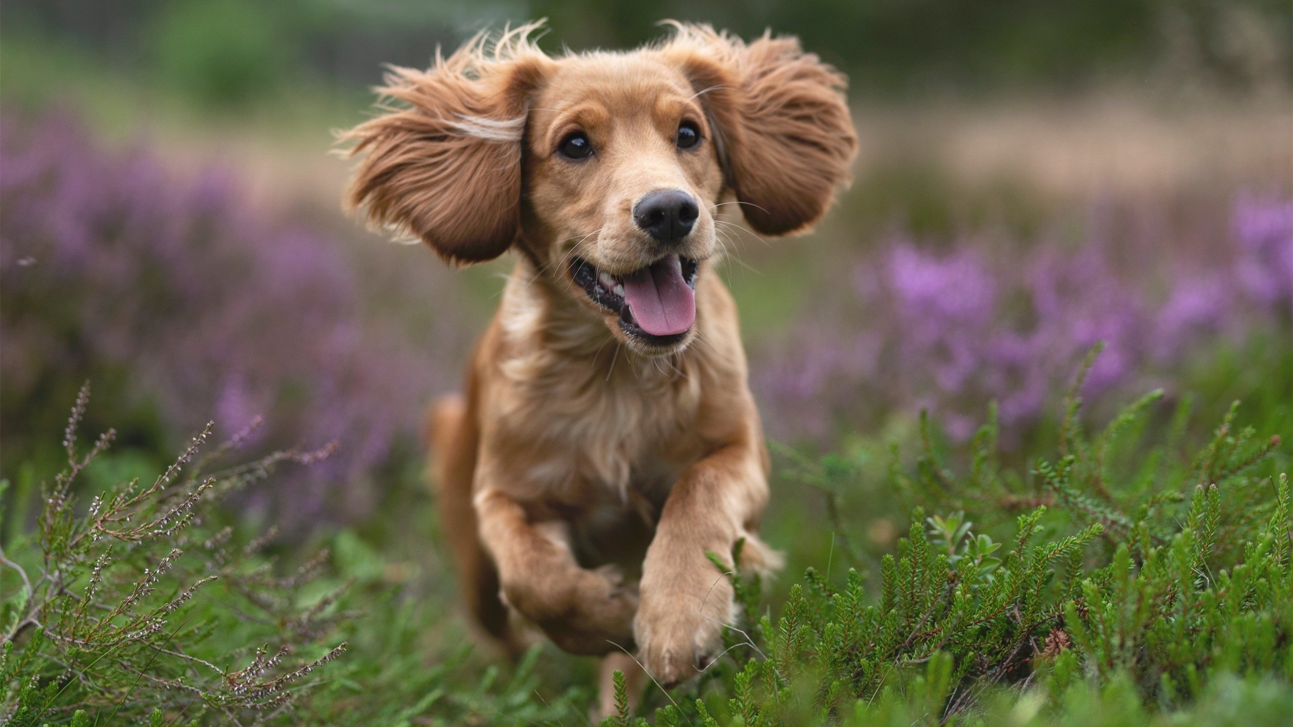 开云官方网站-女足世界杯球队训练基地曝光，女足世界杯球队训练基地曝光视频