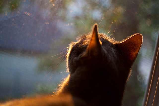 战队技术交流活动成功举办，战队分工