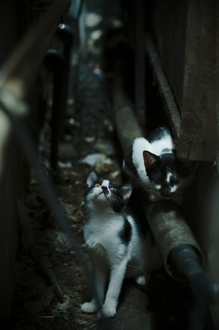 开云·体育官网-皇马主场1-0小胜阿尔梅里亚，艰难取胜，2020皇马主场