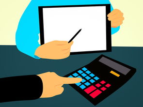 开云·体育官网APP下载-体教融合视角下的校内竞赛体系构建方案，学校体教融合经验交流材料