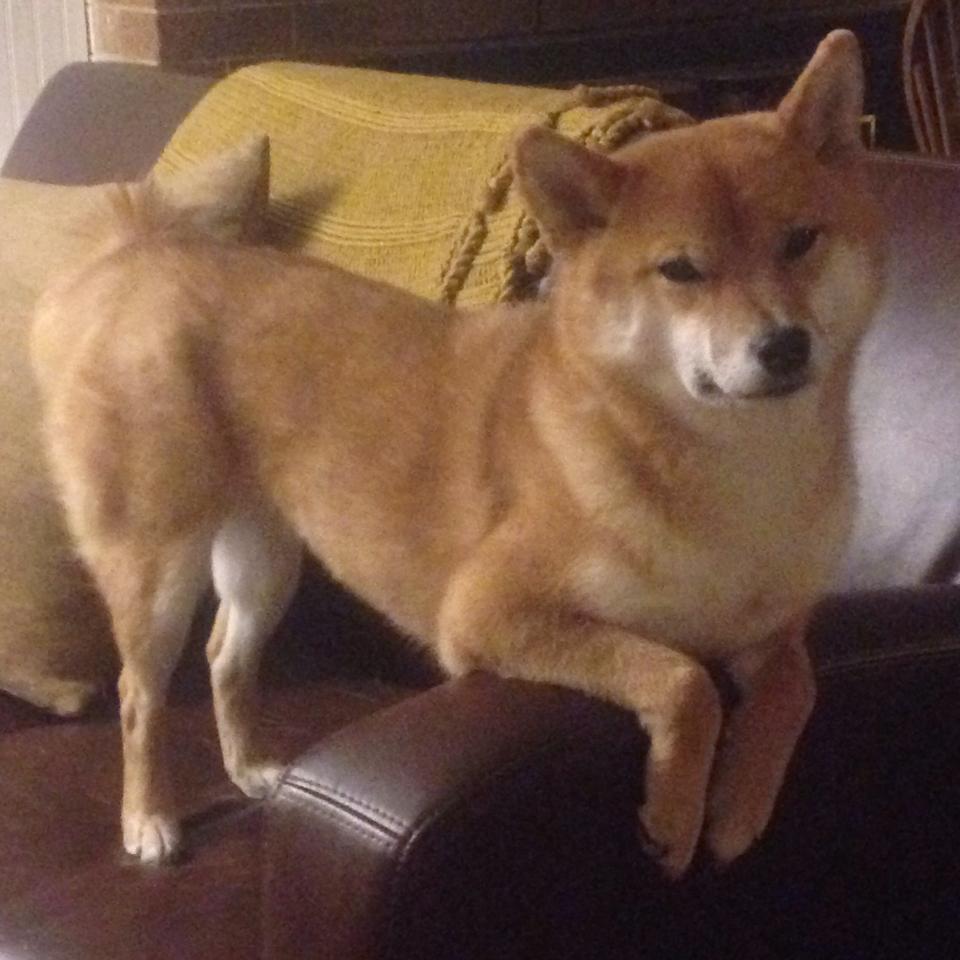 开云体育APP下载-“电动冲浪：东三叉湖赛场引领水上运动新潮流”