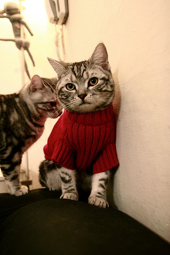 开云kaiyun-中美男篮友谊赛即将上演引发热议，中美男篮友谊赛即将上演引发热议事件