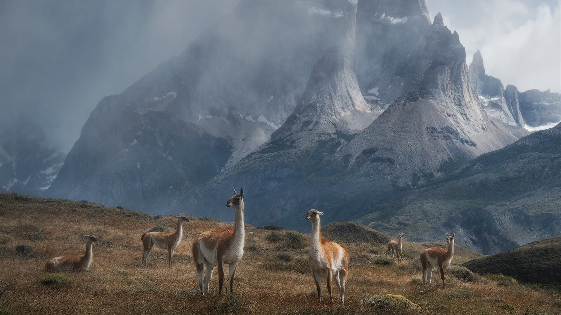 体育新闻中心推动体育新媒体内容多渠道融合发展,体育新媒体营销