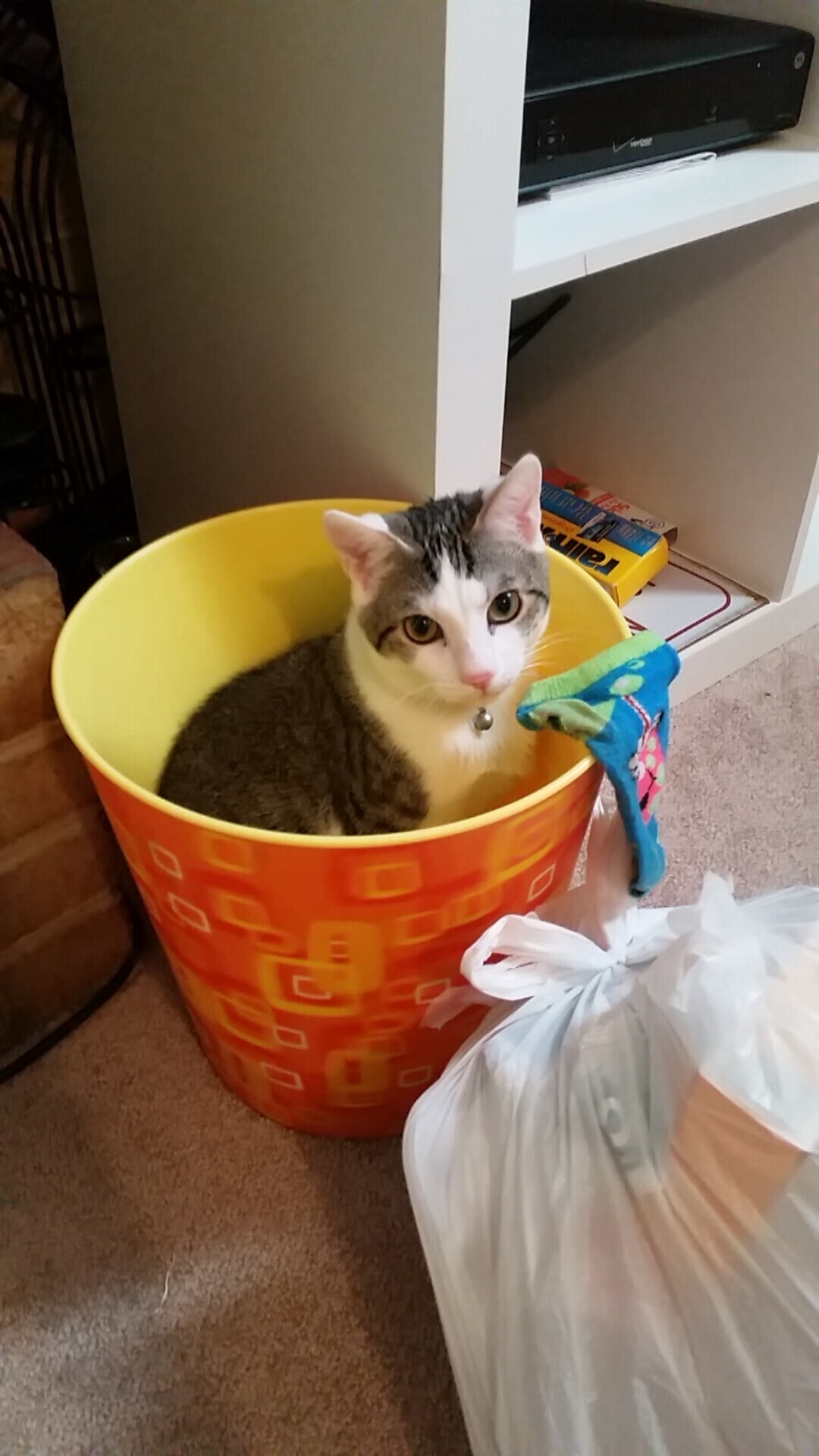 开云kaiyun-体育纪录片进入城市影院主流放映日程，经典体育纪录片