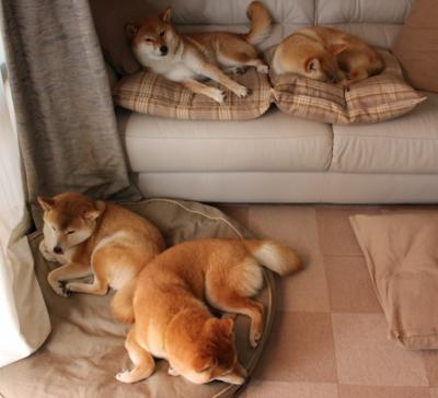 kaiyun.com-压迫式防守是否更容易带动节奏起伏，压迫式是什么动作