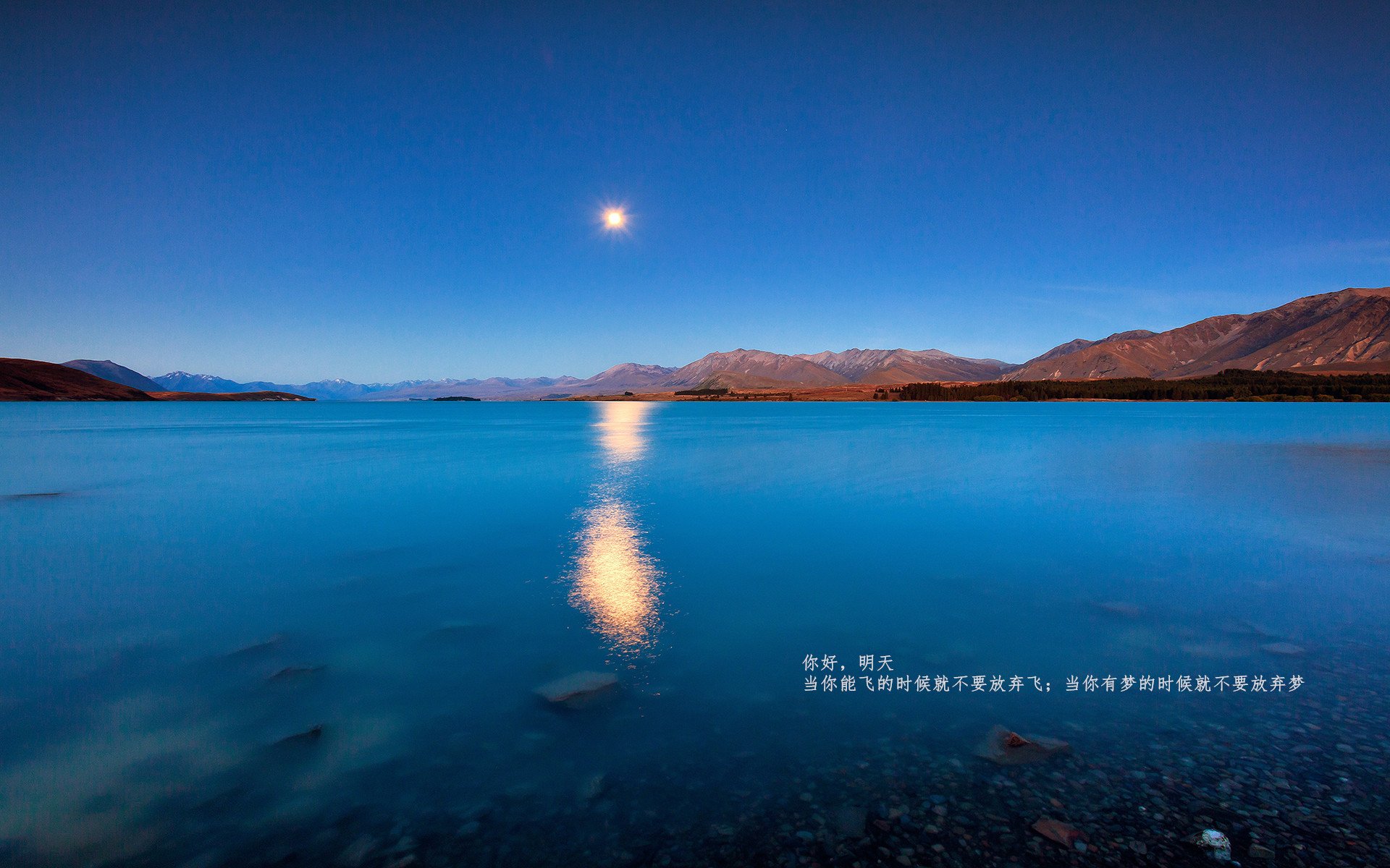 意甲团队协作：默契配合争夺胜利！，意甲合作伙伴