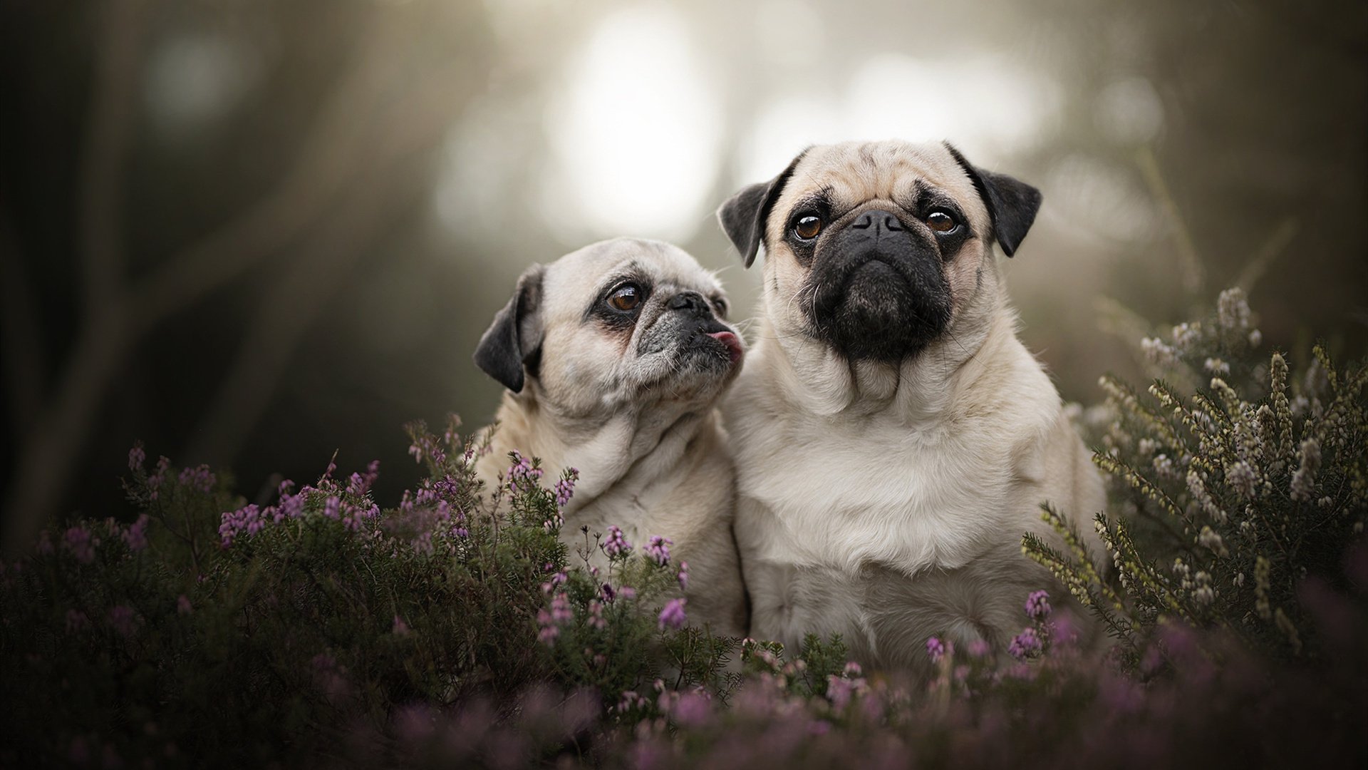 开云kaiyun-李娜坦言退役后更理解体育教育意义，李娜体育精神