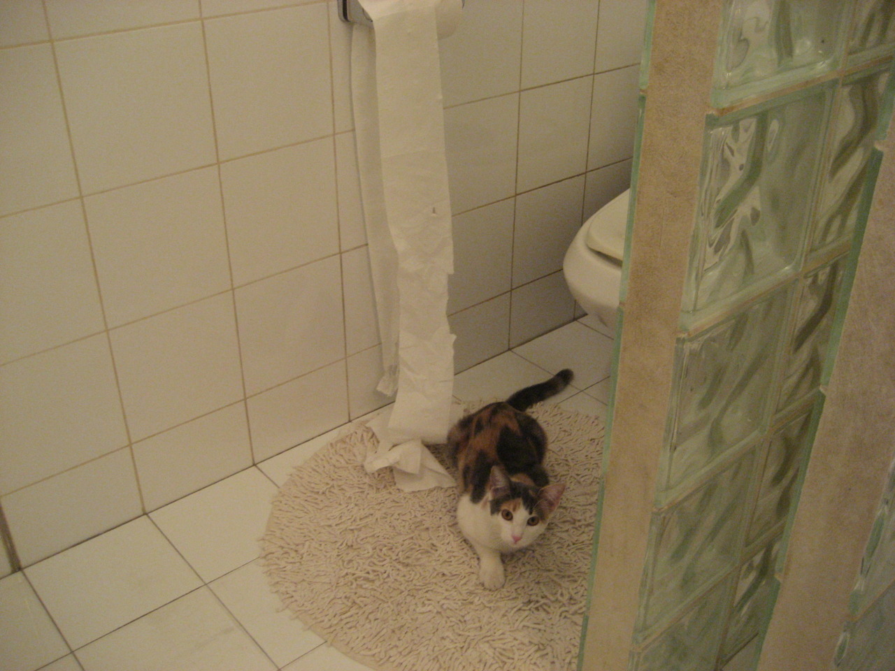 法甲冲刺冠军：年轻力量挑战未来！，法甲 经典比赛