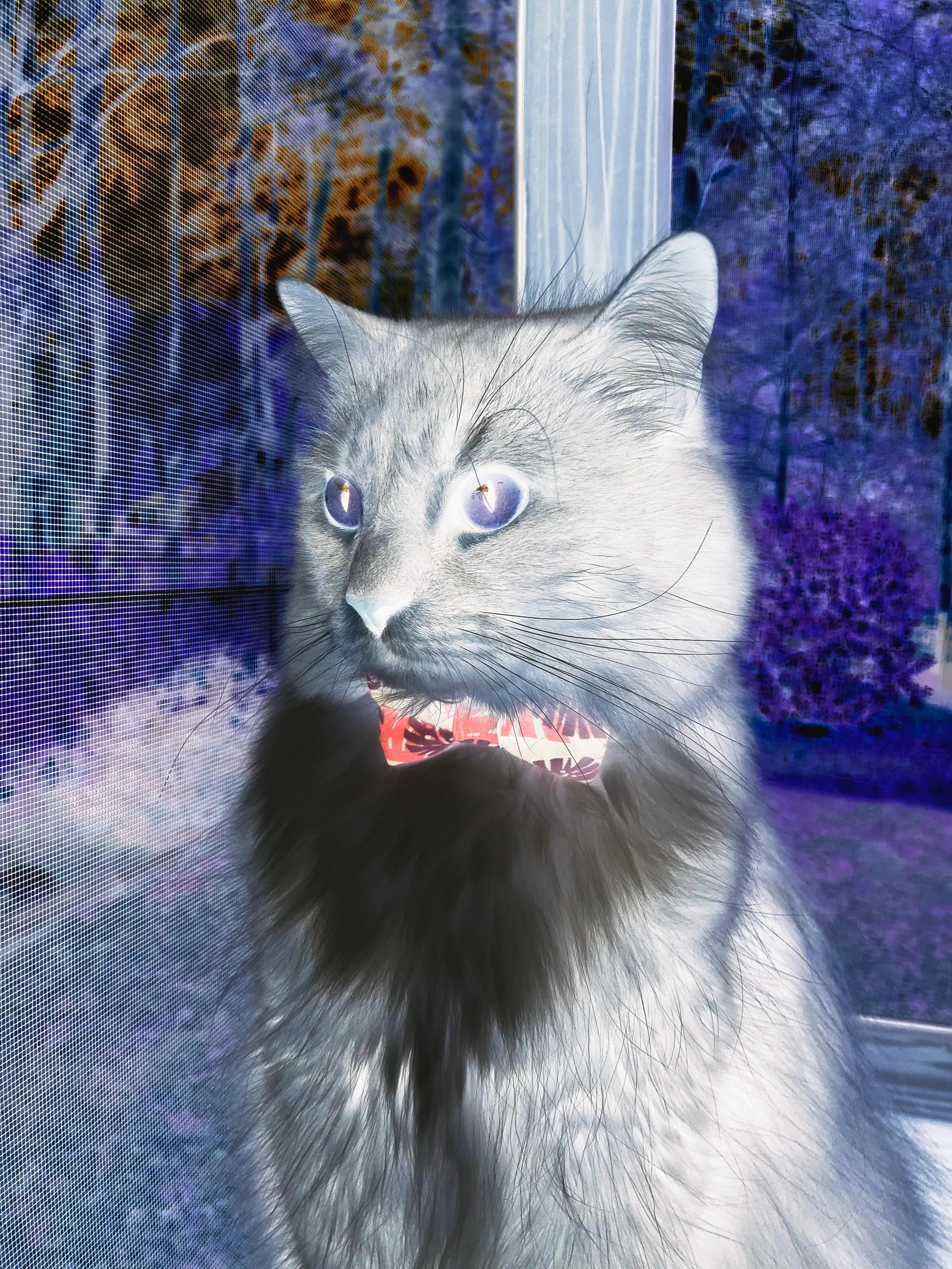 Kaiyun(中国)开云-英超最后一秒制胜球：逆袭现场的巅峰瞬间，英超最后一轮看点