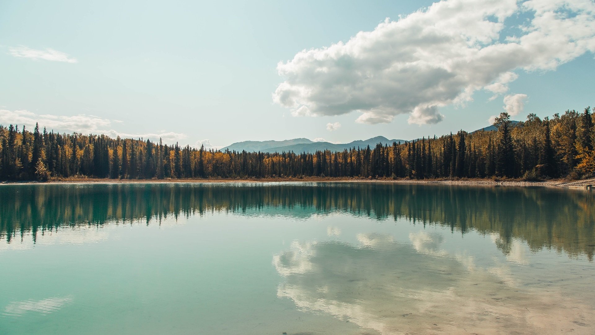 kaiyun.com-马拉维男篮在非洲锦标赛中荣获冠军，体育实力创新高，非洲马拉维视频